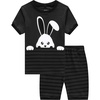 Rabbit/F9