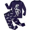 Glow-in-the-dark/Dinosaur