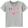 American Flag-grey