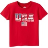 American Flag-red