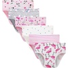 6 Pack-dog-flamingo