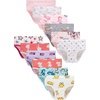 Zh17-20-12 Pack