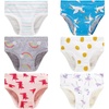 6 Pack - Polka/Cartoon/Animal Print/Stripes