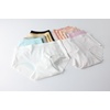 image:imageFamily Feeling Seamless Panties for Teen Girls 4PackColor 3